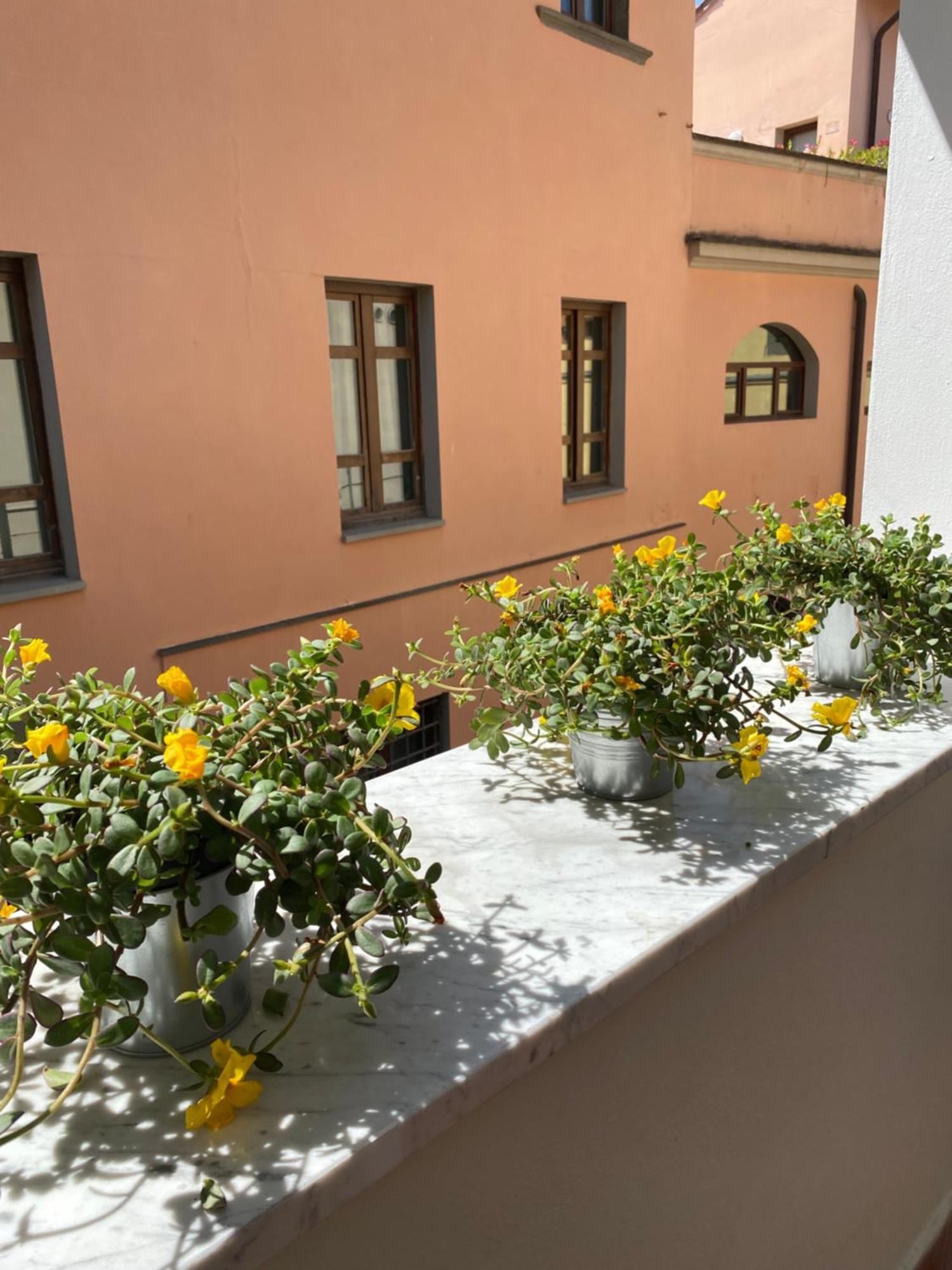 Blom Apartments Pisa Eksteriør bilde